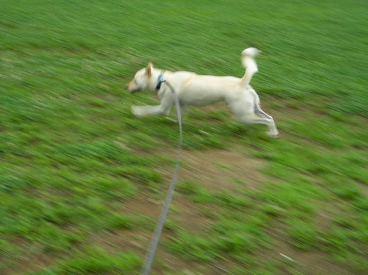 DSCN4413.JPG