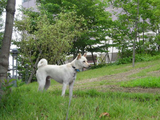 DSCN4432.JPG