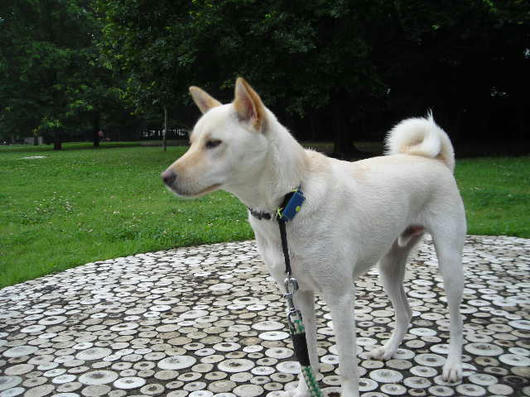 DSCN4617.JPG