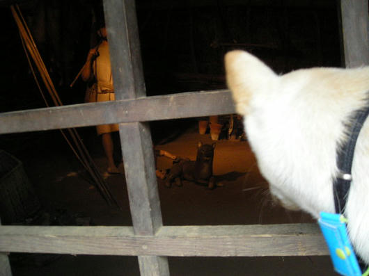 DSCN4625.JPG