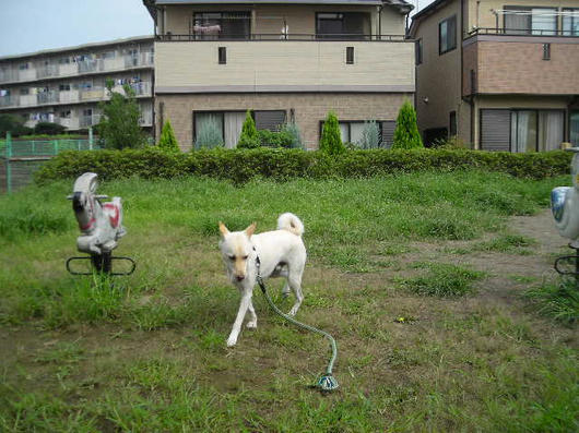 DSCN4931.JPG