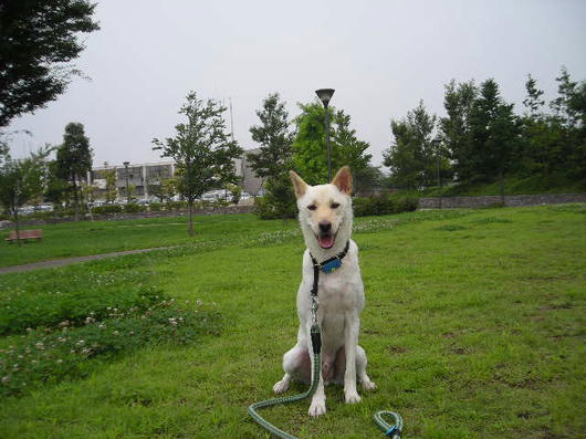DSCN4946.JPG