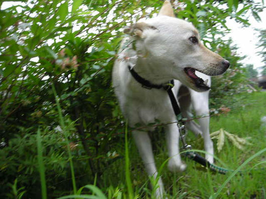 DSCN4953.JPG