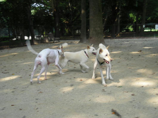 DSCN4972.JPG