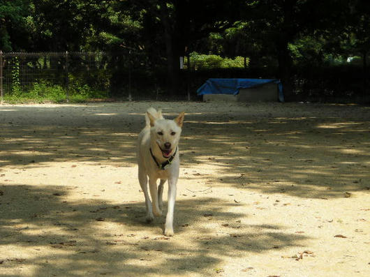 DSCN4982.JPG