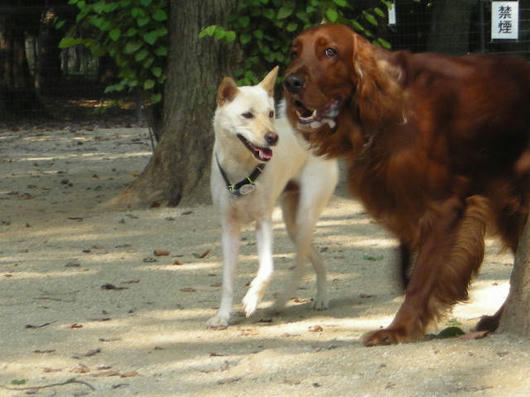 DSCN4983.JPG