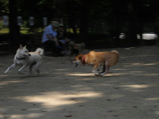 DSCN4987.JPG