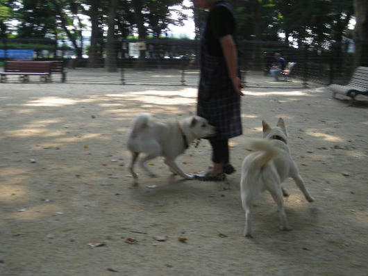 DSCN4966.JPG