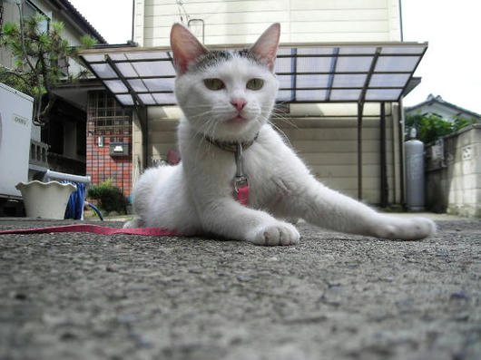 DSCN5078.JPG