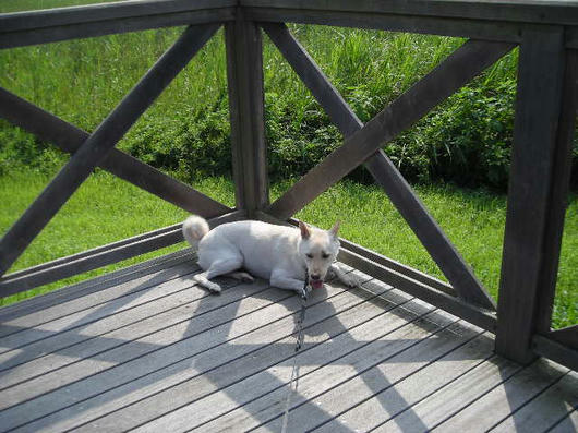 DSCN5139.JPG
