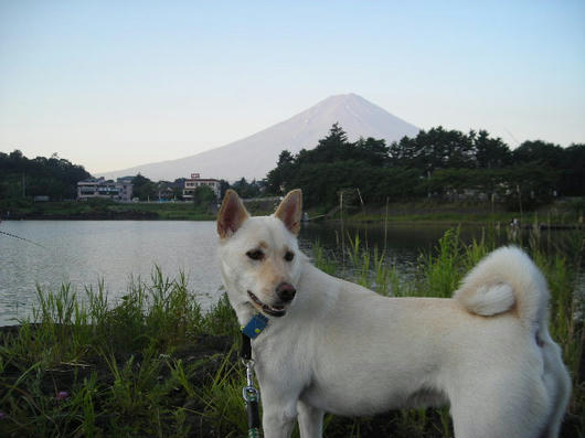 DSCN5171.JPG