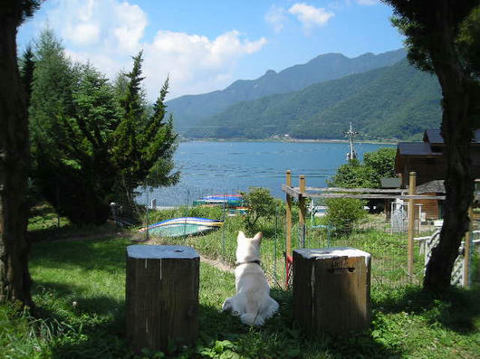 DSCN5251.JPG