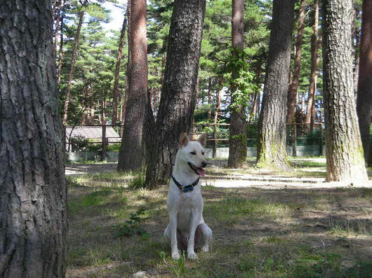 DSCN5311.JPG