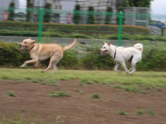 DSCN5354.JPG
