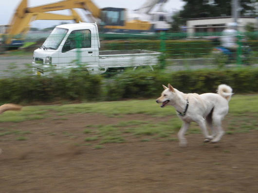 DSCN5362.JPG