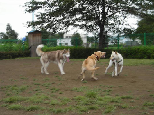 DSCN5359.JPG
