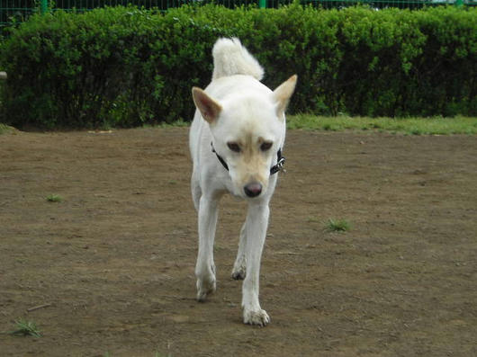 DSCN5356.JPG