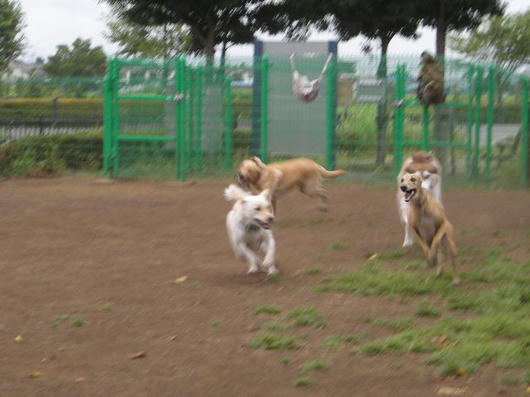 DSCN5366.JPG