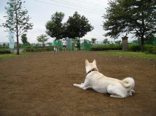 DSCN5350.JPG