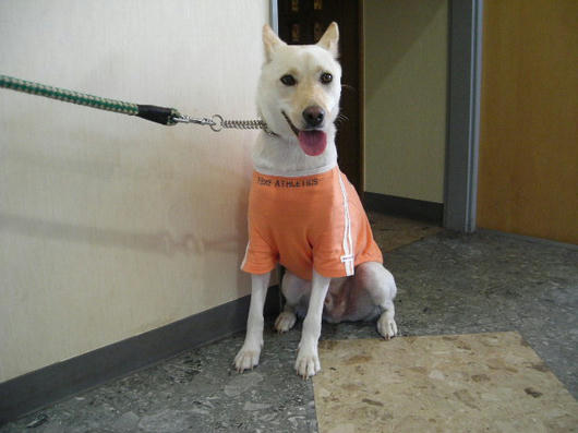 DSCN5425.JPG