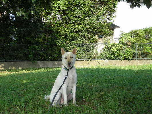 DSCN5469.JPG