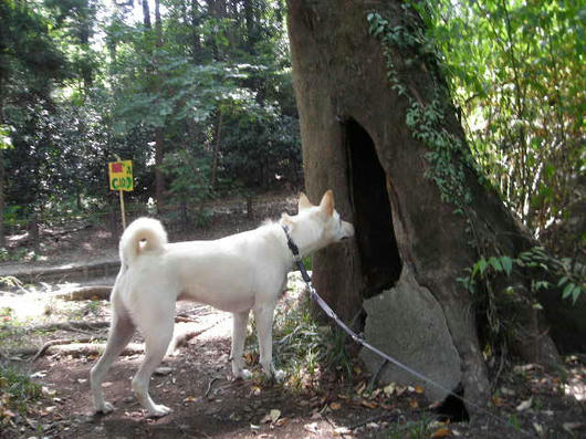 DSCN5553.JPG