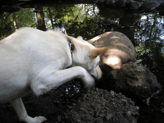 DSCN5560.JPG