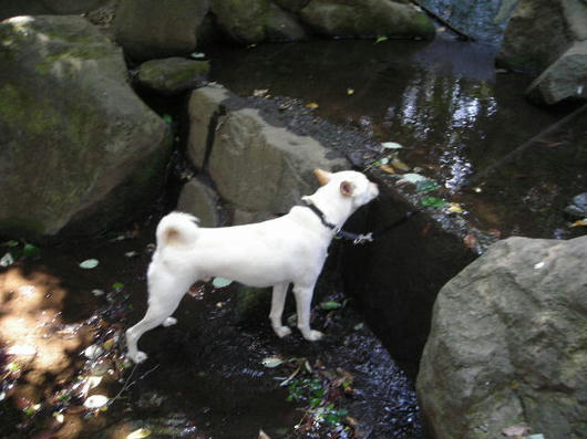 DSCN5570.JPG