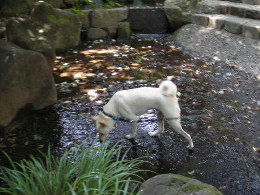 DSCN5568.JPG
