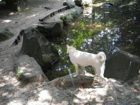 DSCN5576.JPG