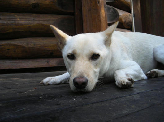 DSCN5749.JPG