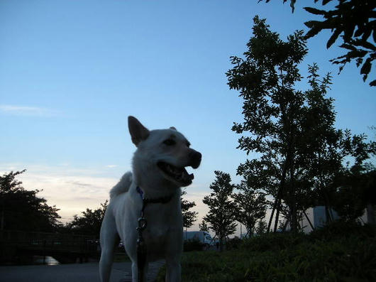 DSCN6114.JPG
