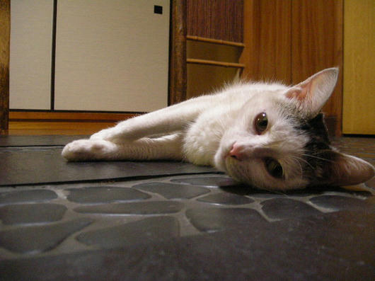 DSCN6085.JPG