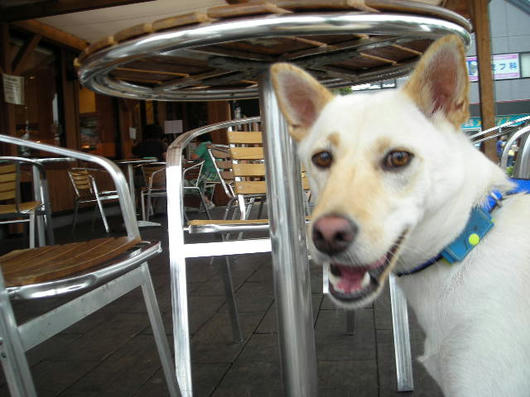DSCN6189.JPG
