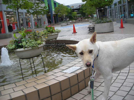 DSCN6172.JPG