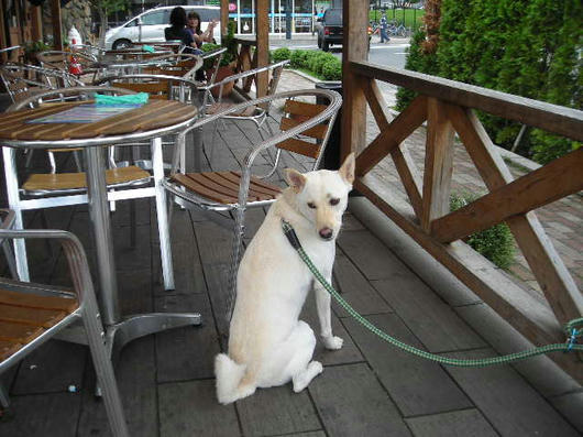 DSCN6192.JPG