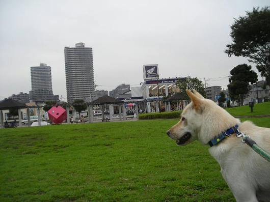 DSCN6177.JPG