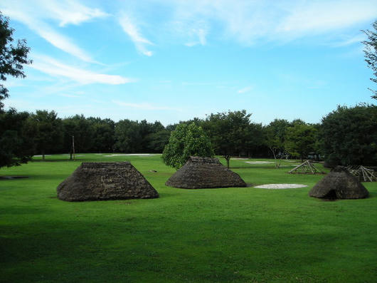 DSCN6208.JPG