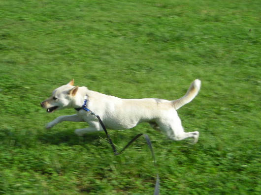 DSCN6236.JPG