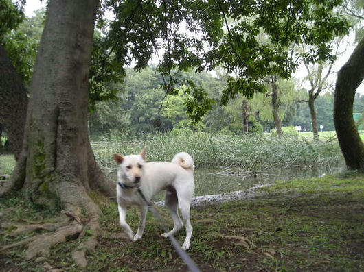DSCN6262.JPG