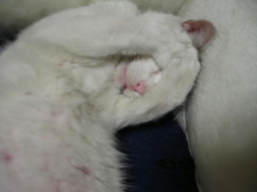 DSCN6165.JPG