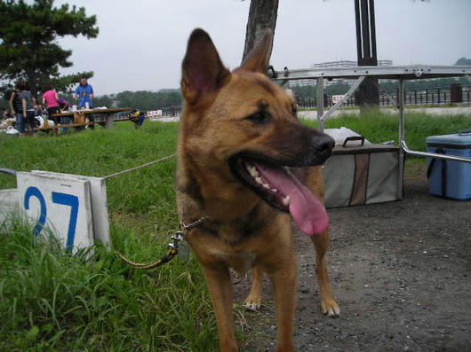DSCN6537.JPG