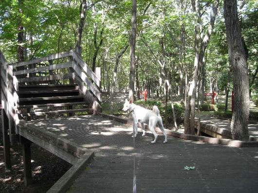 DSCN6689.JPG