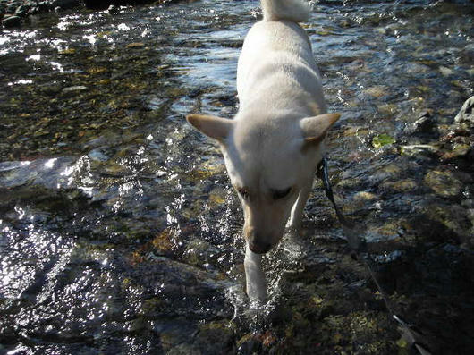 DSCN6768.JPG