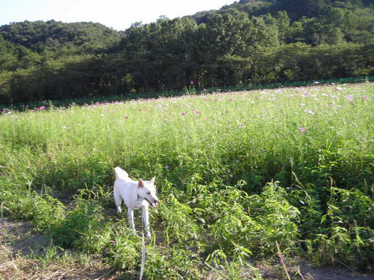 DSCN6801.JPG