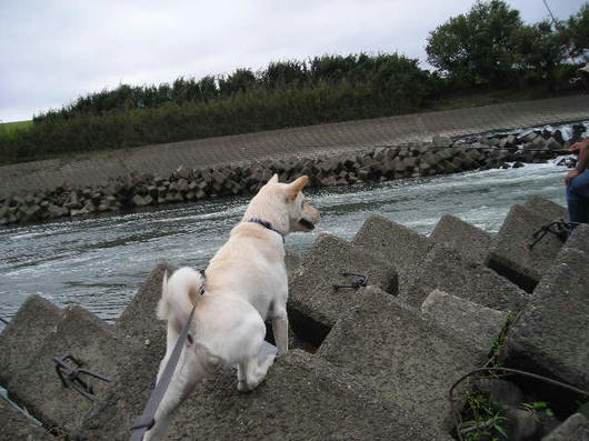 DSCN6818.JPG