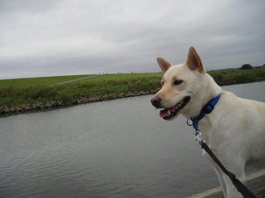 DSCN6833.JPG