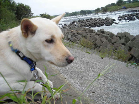 DSCN6855.JPG