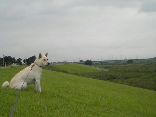 DSCN6888.JPG