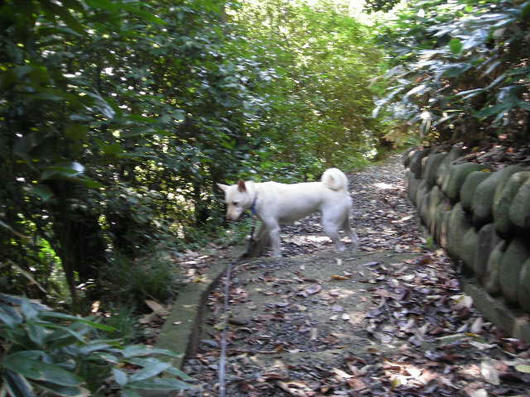 DSCN6922.JPG